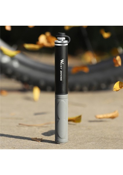 Montaj Braketi ile Mtb Lastik Pompası Presta Grigio Desteko+Pompa1## (Yurt Dışından) indirimleri