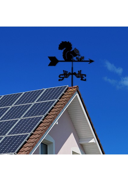 Dayanıklı Weathervan Bahçe Sahne Açık Sahne Dekorasyon El Sanatları Sincap (Yurt Dışından)