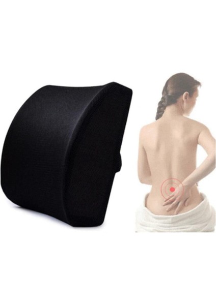 Ayaco Ortopedik Sandalye Sırt Minderi Oto Araç Ofis Koltuk Bel Destek