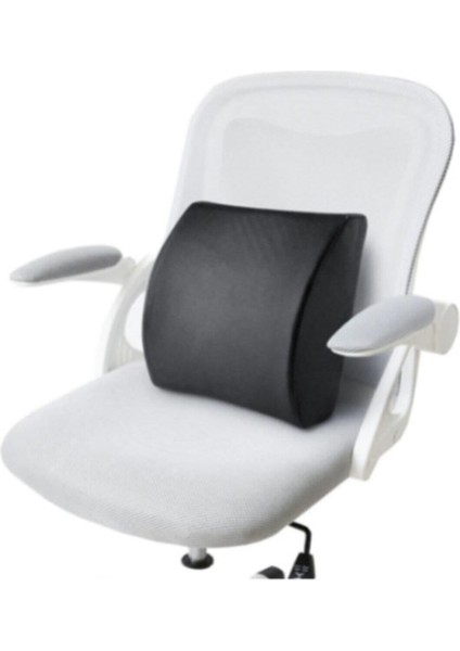 Ayaco Ortopedik Sandalye Sırt Minderi Oto Araç Ofis Koltuk Bel Destek fiyatları
