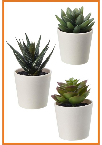 Alony Home Fejka Saksılı Yapay Bitki 3 Adet 6 cm Kaktüs