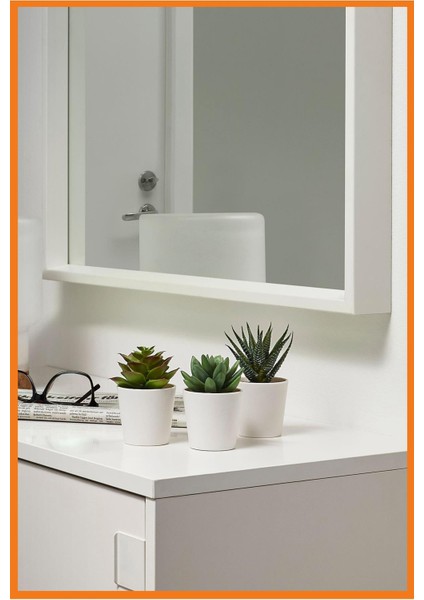 Alony Home Fejka Saksılı Yapay Bitki 3 Adet 6 cm Kaktüs fiyatları