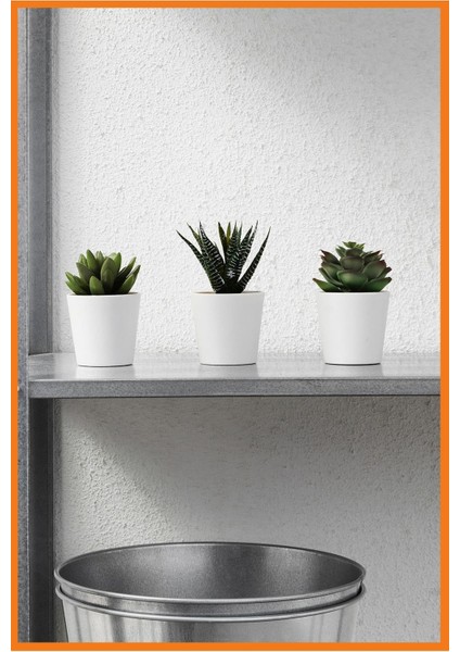 Alony Home Fejka Saksılı Yapay Bitki 3 Adet 6 cm Kaktüs modelleri