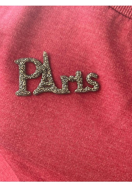 8x4 cm Taş Işleme Paris Ütü Ile Yapışan Aplik Yama Arma Aksesuar fiyatları