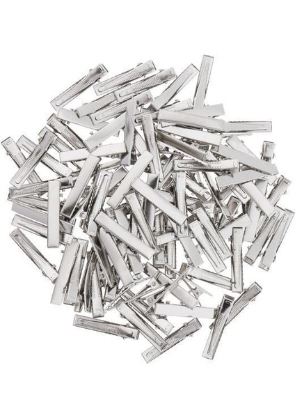 Barrette 6 Adet (Yurt Dışından)