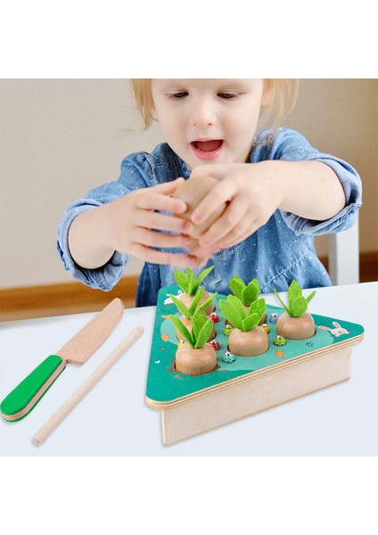 Montessori Ahşap Oyuncaklar (Yurt Dışından) indirimleri
