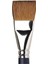 Professional Kolinsky Kısa Saplı Samur One-Stroke Fırçası No:1 (25MM) 1