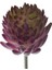 Yapay Etli Gerçek Dokunuş Echeveria Çiçeği (Yurt Dışından) 5