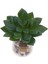 Simülasyon Yapay Succulents Bitkiler Fotoğraf Personeli Bitki Düzenlemesi (Yurt Dışından) 2