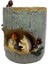 Kirpi Çiçek Sedum Etli Pot Ekici Bonsai Oluk Kutusu Bitki (Yurt Dışından) 1