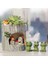 Kirpi Çiçek Sedum Etli Pot Ekici Bonsai Oluk Kutusu Bitki (Yurt Dışından) 4