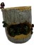 Reçine Kurbağa Çiçek Sedum Etli Bitki Pot Ekici Bonsai Çukur Kutuları Bitki (Yurt Dışından) 3