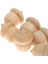Bitmemiş Dıy Acorns 12 Pc (Yurt Dışından) 4