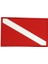 Scuba Dıvıng Flag Yaması 5 Pcs (Yurt Dışından) 1