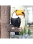 Toucan Tree Hugger Sevimli Peeker Bahçe Açık Dekor (Yurt Dışından) 4