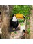 Toucan Tree Hugger Sevimli Peeker Bahçe Açık Dekor (Yurt Dışından) 5