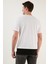 % 100 Pamuk Regular Fit Bisiklet Yaka T Shirt Erkek T Shirt 5902515 5