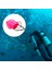 York Scuba Tank Valf Parçaları Için 2xthreed Toz Pembe 2 Pcs (Yurt Dışından) 5