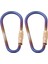 2 Adet Yürüyüş Tiyum D- Carabiner Keychain Toka Klipsi Vida Kapısı (Yurt Dışından) 2