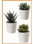 Alony Home Fejka Saksılı Yapay Bitki 3 Adet 6 cm Kaktüs 1