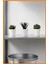 Alony Home Fejka Saksılı Yapay Bitki 3 Adet 6 cm Kaktüs 3