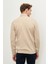 ALTINYILDIZ CLASSICS Erkek Bej Standart Fit Normal Kesim Bisiklet Yaka Yünlü Rahat Triko Kazak 4