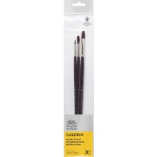 Winsor & Newton Galeria Uzun Saplı Sentetik Fırça Set 2 (3'lü)