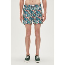 Bad Bear Parrot Swımshort Koyu Yeşil