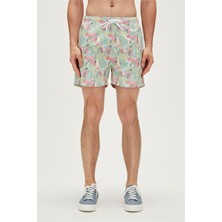 Bad Bear Parrot Swımshort Beyaz