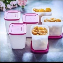 Tupperware Alaska Derin Dondurucu Saklama Kabı 4’lü