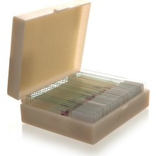 Okulgen Preperat 25'lik Seti (Insan Anatomisi)