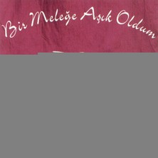 Bir Meleğe Aşık Oldum (ilhan İrem) (cd)