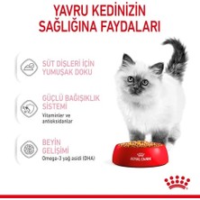 Royal Canin Kitten Instinctive Jelly Yavru Kedi Konserve 85 gr