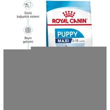 Royal Canin Shn Maxi Junior Büyük Irk Yavru Köpek Maması 15 kg