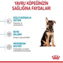 Royal Canin Maxi Puppy 15 Kg Yavru Kuru Köpek Maması