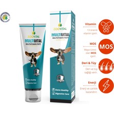 Zoovital Biovital Paste 100 gr Biotin Çinko Deri Tüy Desteği + Multivital Dog 100 gr Vitamin Desteği