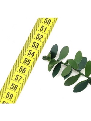 Hayalperest Boncuk 14 Metre Tel Yaprak Şerit Yapay Taç Sarmaşık Çiçek Süs