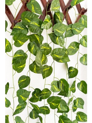 Hayalperest Boncuk 3 Adet Dekoratif Yapay Sarmaşık Sarı Çizgili Yaprak Yapay Çiçek Dekoru 230CM