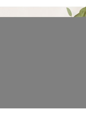 Naranja Oda Kokusu 500 ML 2008