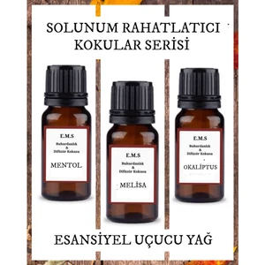 Mentol, Melisa, Okaliptus Esansiyel Uçucu Buhurdanlık Yağı Difüzör Esansı 3 x 10 ml