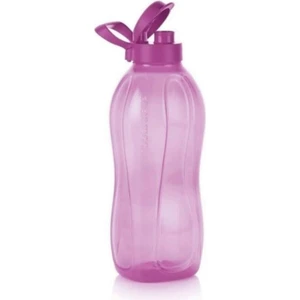Eko Şişe 2 Litre Detoks Su Şişesi Suluk