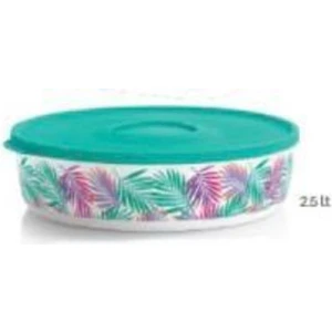 Delüks Tropikal 2,25LT Saklama Kabı