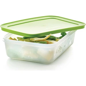 Alaska 1 Lt Saklama Kabı Deep Freeze