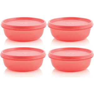 Buzdolabı Saklama Kabı 4X300 ml