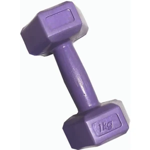 1 kg Dambıl Set 2 Adet