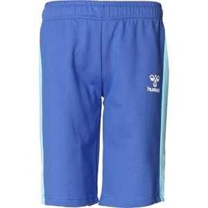 Hmledu Shorts Mavi Çocuk Şort 931600-7837