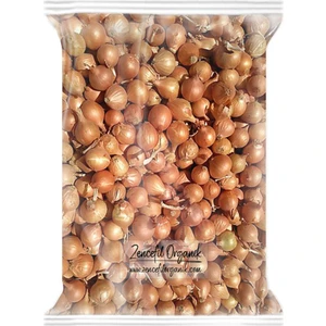 Kıska Soğan 1 kg. Arpacık Soğan Iska Soğan Tohumu
