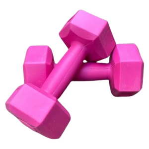 1 kg Dambıl Seti Ağırlık Seti 1 kg 2 Adet Pembe