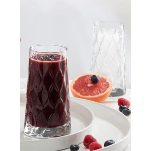 Leafy Meşrubat Bardağı 450 cc 2 Adet