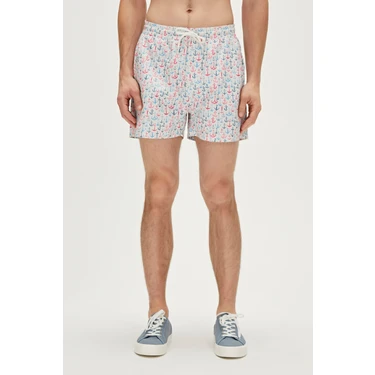 Bad Bear Anchor Swımshort